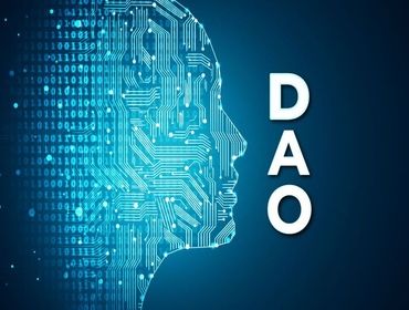 Comprender el trabajo de Wyoming DAO LLC y MI DAO LLC: Cómo funciona para su DAO